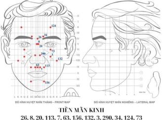 Hội Chứng Tiền Mãn Kinh - "Cơn Bão" Nội Tiết Tố