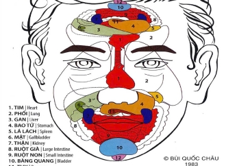 Tìm Hiểu Về Liệu Pháp Diện Chẩn ?